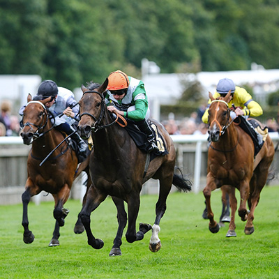 3 horses racing at the july meeting at Newmarket